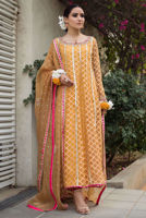 Picture of Vintage Orange (KTD3287)