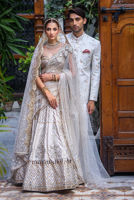 Picture of White Dove