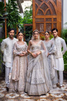 Picture of White Dove