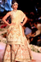 Picture of Orange sherbet