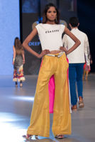 Picture of Brittle star