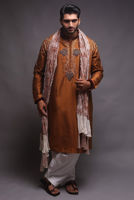 Picture of Brown embroidered kurta