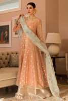 Picture of Peach Rouge (KTD3182)