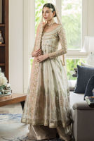 Picture of Aslan (KTD3255)