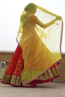 Picture of Vera (KTD3266)