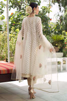 Picture of SHADOW WHITE (KTD3214)