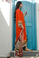 Picture of Celil (ktd4025)