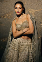 Picture of White Dove