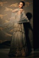 Picture of White Dove