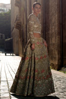 Picture of Golden glare (BRD142)