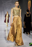 Picture of Drs1058-01