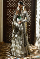 Picture of Silver Dove