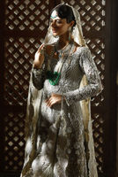 Picture of Silver Dove