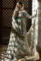 Picture of Silver Dove