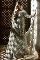 Picture of Silver Dove
