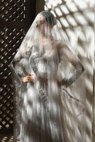 Picture of Whisper Grey