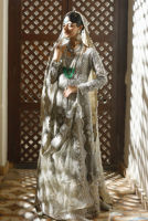 Picture of Silver Dove