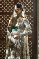 Picture of Silver Dove