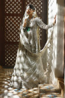Picture of Silver Dove