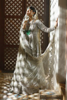 Picture of Silver Dove