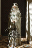 Picture of Silver Dove