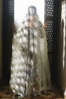 Picture of Silver Dove