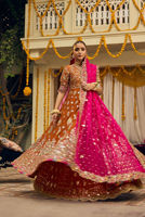 Picture of Aangan e Gul
