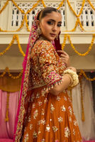 Picture of Aangan e Gul
