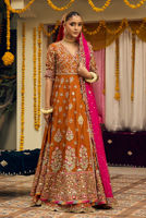 Picture of Aangan e Gul