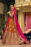 Picture of Aangan e Gul