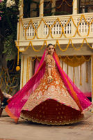Picture of Aangan e Gul
