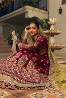 Picture of Dahlia